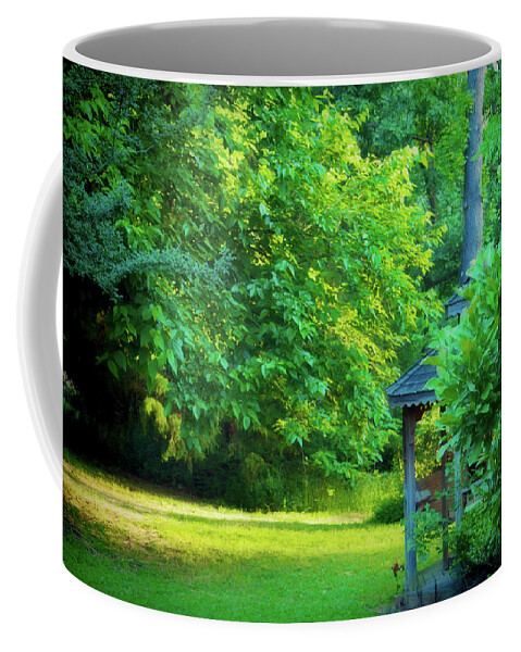 Morning Coffee Mug featuring the photograph Backyard Beauty by Barry Jones