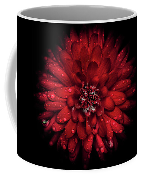 Brian Carson Coffee Mug featuring the photograph Backyard Flowers 45 Color Version by Brian Carson