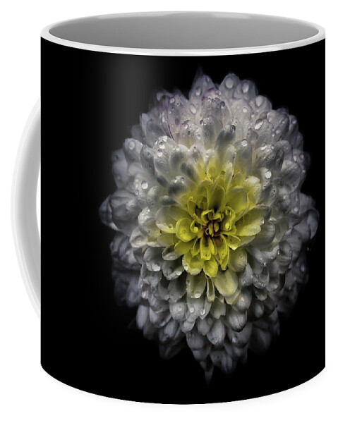 Brian Carson Coffee Mug featuring the photograph Backyard Flowers 46 Color Version by Brian Carson