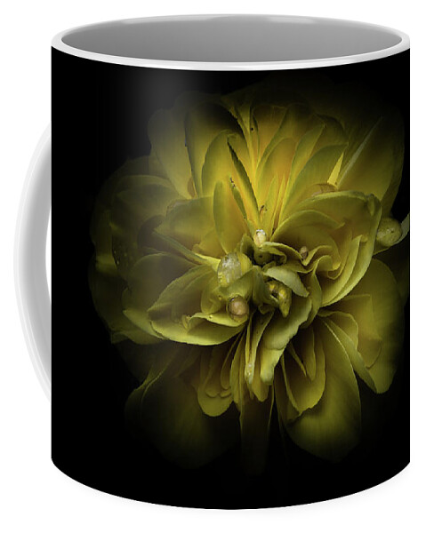Brian Carson Coffee Mug featuring the photograph Backyard Flowers 67 Color Version by Brian Carson