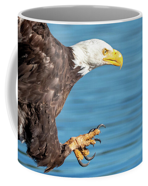 Bald Eagle Coffee Mug featuring the photograph Bad Day to be a Fish by Randy Robbins