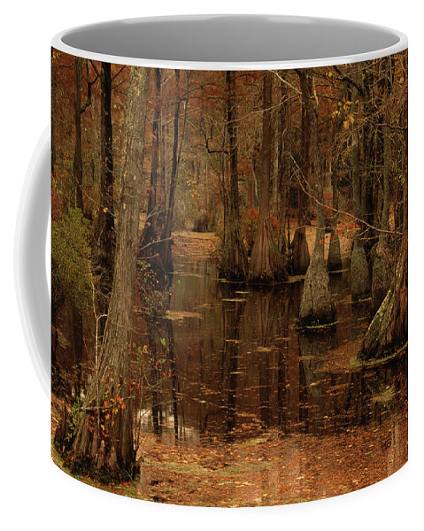 America Coffee Mug featuring the photograph Bald Cypress Trees  November by Nhpa