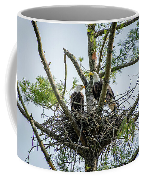 Bald Eagle Coffee Mug featuring the photograph Bald Eagle Couple by Robert J Wagner
