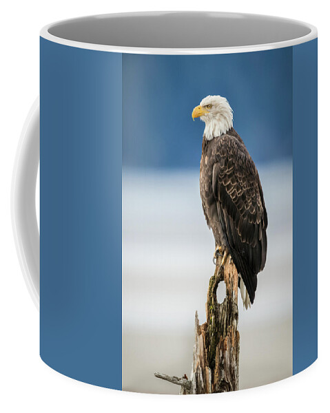 Alaska Coffee Mug featuring the photograph Bald Eagle on Snag by James Capo