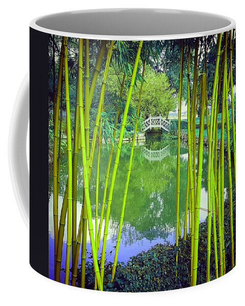 Ornatebridge Coffee Mug featuring the photograph Bamboo View In Vivid Green by Rowena Tutty