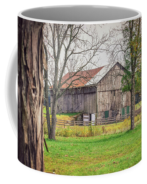 Barn Coffee Mug featuring the photograph Barn by Michelle Wittensoldner
