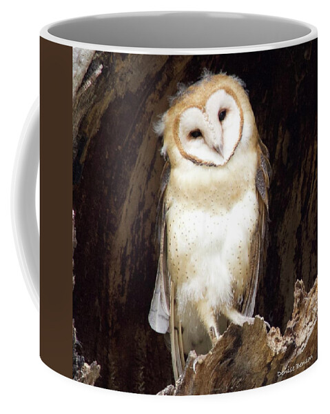 Barn Owl Coffee Mug featuring the photograph Barn Owl by Denise Benson