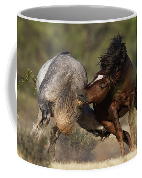 Battle Coffee Mug featuring the photograph Battle by Shannon Hastings