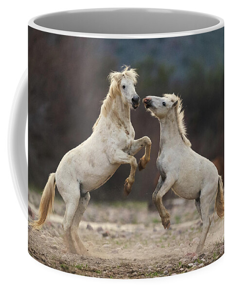 Battle Coffee Mug featuring the photograph Battling Stallions by Shannon Hastings