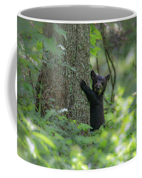 Bear Cub Coffee Mug featuring the photograph Bear Cub 01 by Nunweiler Photography