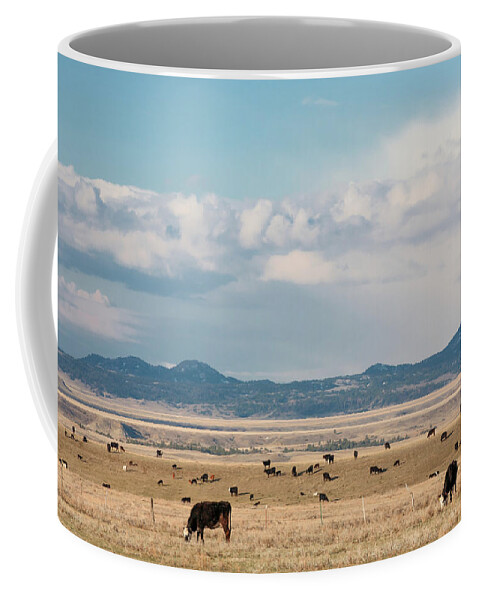 Bear Paw Mountains Coffee Mug featuring the photograph Bear Paw Herd by Todd Klassy