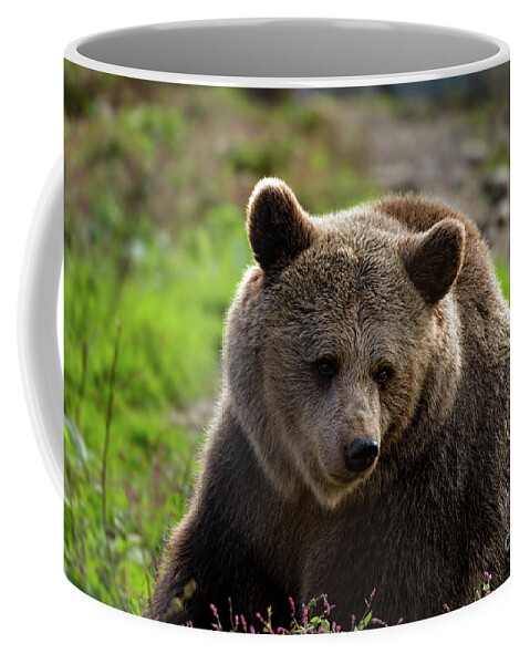 Grizzly Bear Coffee Mug featuring the photograph Bear with me by Sam Rino