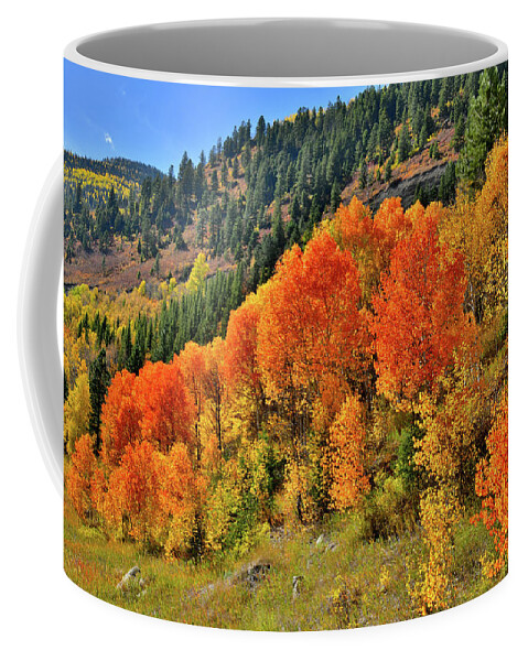 Colorado Coffee Mug featuring the photograph Beautiful Aspens en route to McClure Pass by Ray Mathis