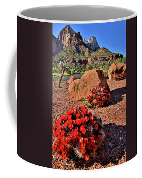 Zion National Park Coffee Mug featuring the photograph Beautiful Cacti Blooms in Zion NP by Ray Mathis