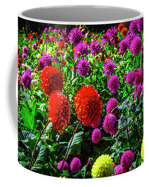 Mood Coffee Mug featuring the photograph Beautiful Dahlia Garden by Garry Gay
