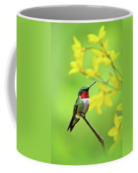 Hummingbird Coffee Mug featuring the photograph Beautiful Summer Hummer by Christina Rollo