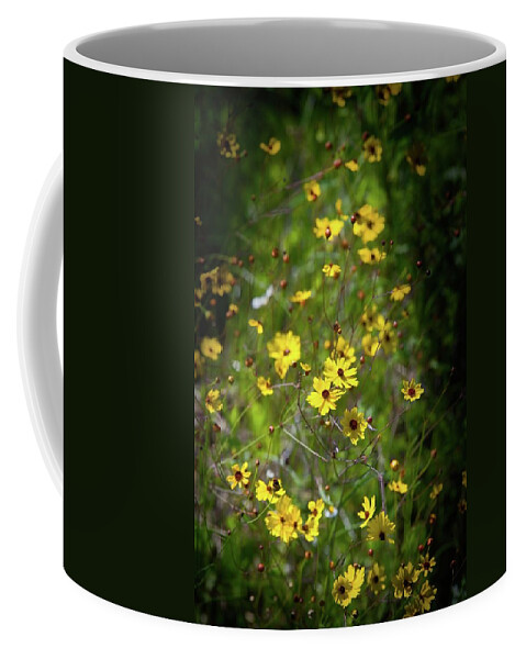 Flower Coffee Mug featuring the photograph Beautiful Tickseed Flowers by T Lynn Dodsworth