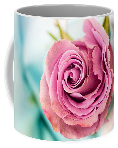 Flower Coffee Mug featuring the photograph Beautiful vintage rose by Top Wallpapers
