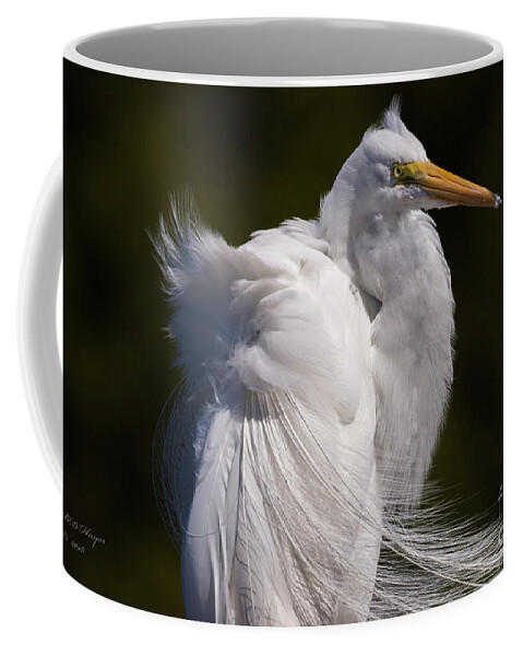 Egrets Coffee Mug featuring the photograph Beauty In The Wind by DB Hayes