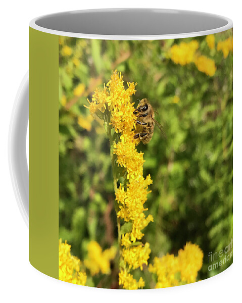 Bee Coffee Mug featuring the photograph Bee and Goldenrod 3 by Amy E Fraser
