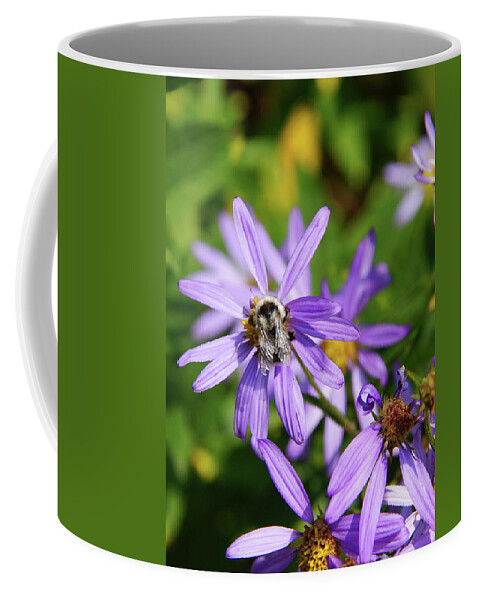 Aster Coffee Mug featuring the photograph Bee collecting pollen on Alpine Aster by Steve Estvanik