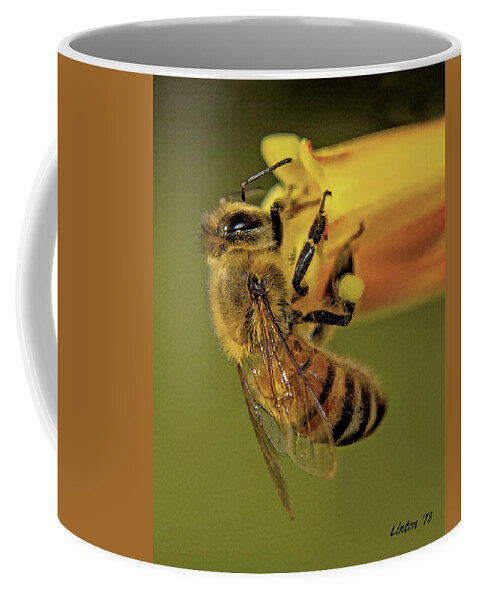 Bee Coffee Mug featuring the photograph European Honey Bee by Larry Linton