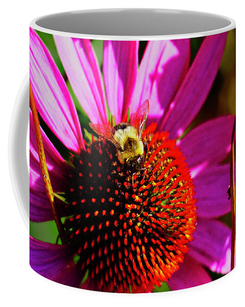 Macro Photography Coffee Mug featuring the photograph Bee on Cone Flower by Meta Gatschenberger