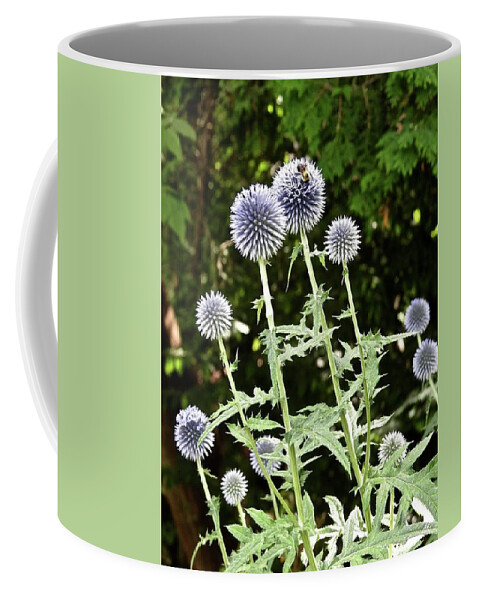 Bee Coffee Mug featuring the photograph BEE-you-ti-full Beauty by Kathy Ozzard Chism