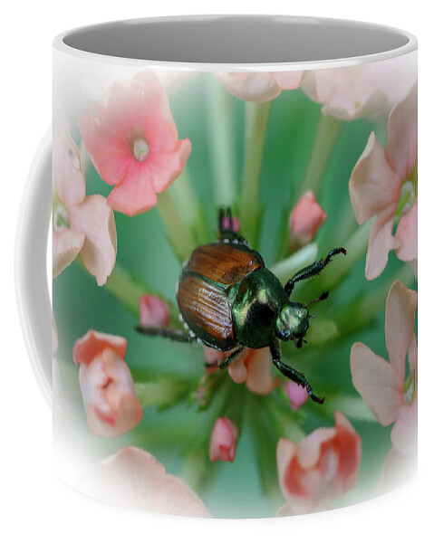 Beetle Coffee Mug featuring the photograph Beetle on a Flower by Laura Smith