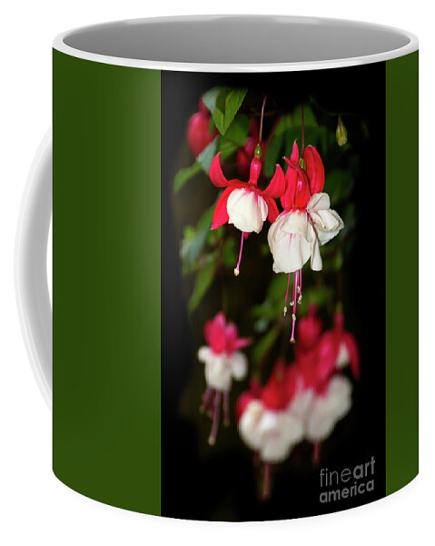 Red Coffee Mug featuring the photograph Before The Next Teardrop Falls by Al Bourassa