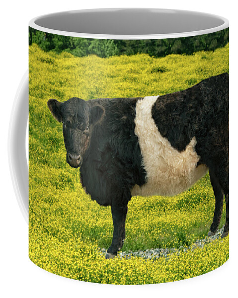 Belted Galloway Coffee Mug featuring the photograph Beltie in Buttercups by Minnie Gallman