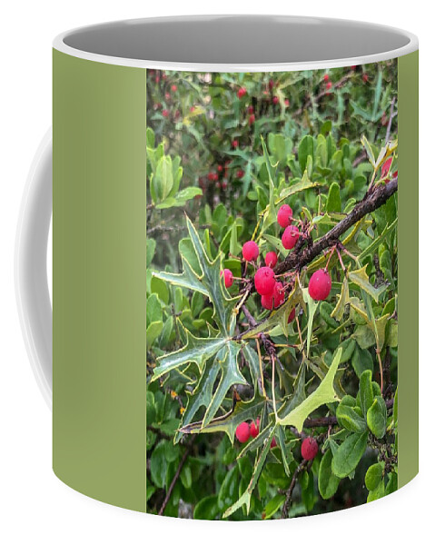 Landscape Photography Coffee Mug featuring the photograph Berries by Kelly Thackeray