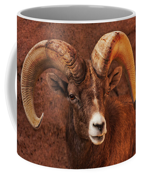 Big Horn Sheep Coffee Mug featuring the photograph Big Horn Sheep by Kevin Schwalbe