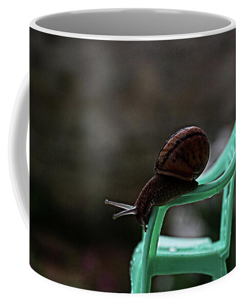 Snail Coffee Mug featuring the photograph Big snail,Little chair by Martin Smith