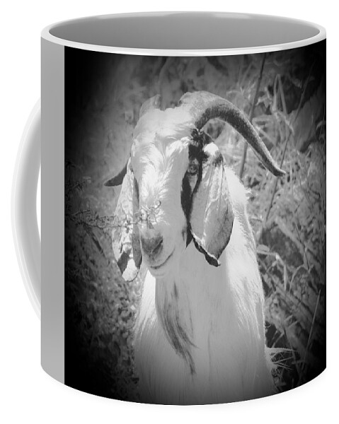 Mountain Goat Coffee Mug featuring the photograph Billy the Kid Too by Debra Grace Addison
