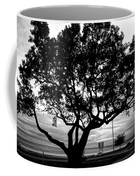 Oak Coffee Mug featuring the photograph Biloxi Oaks by George Taylor
