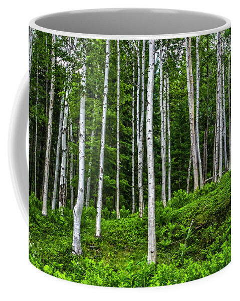 Tree Coffee Mug featuring the photograph Birch Stand by Ray Silva