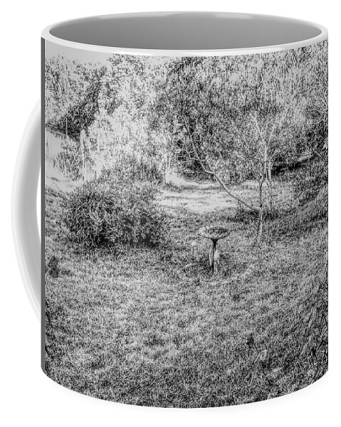 Grass Coffee Mug featuring the photograph Bird Haven by Ivars Vilums