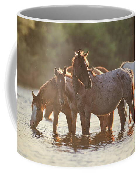 Salt River Wild Horses Coffee Mug featuring the photograph Bird on a Horse by Shannon Hastings