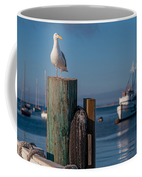 Bird Coffee Mug featuring the photograph Bird on a Post by Derek Dean