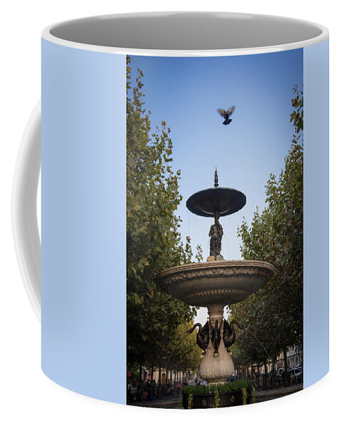 Fountain Coffee Mug featuring the photograph Bird over the Fountain by Raf Winterpacht