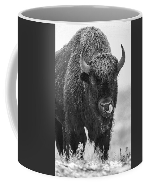 Disk1215 Coffee Mug featuring the photograph Bison Bull In Snow by Tim Fitzharris