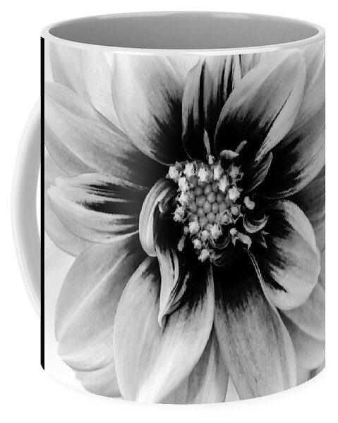 Black & White Coffee Mug featuring the photograph Black and White Dahlia by Louis Dallara
