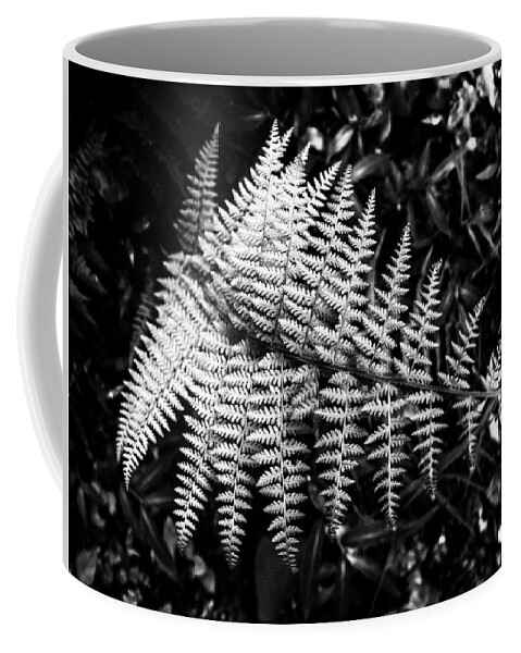 New Jersey Coffee Mug featuring the photograph Black and White Fern by Louis Dallara