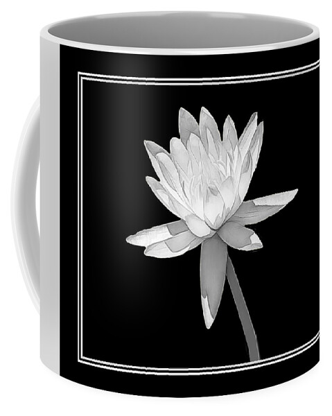 Water Lily Coffee Mug featuring the photograph Black and White Water Lily by Rosalie Scanlon