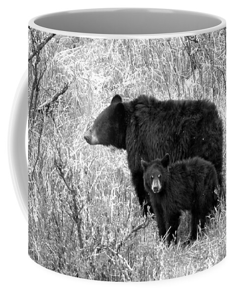 Black Bear Coffee Mug featuring the photograph Black Bear Sow With Junior Black And White by Adam Jewell