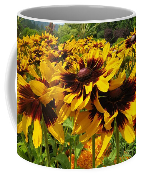 View Coffee Mug featuring the photograph Black-Eyed Susan In Your Face by Joan Stratton