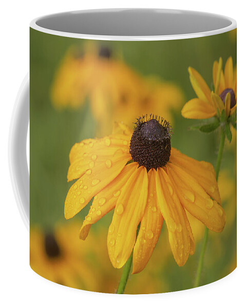 Black-eyed Susans Coffee Mug featuring the photograph Black-Eyed Susans by Dale Kincaid