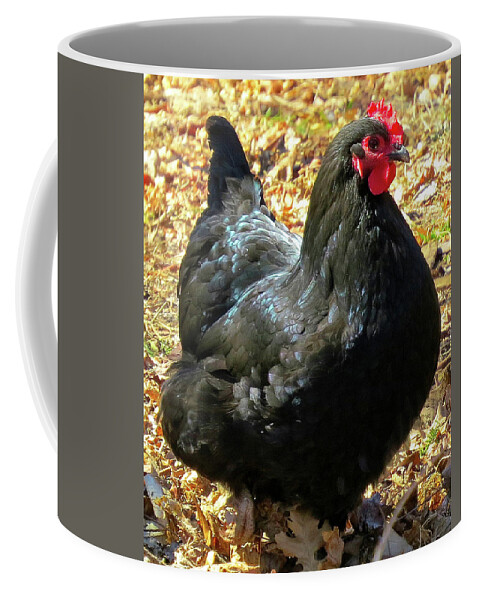 Black Chickens Coffee Mug featuring the photograph Black Jersey Giant by Linda Stern