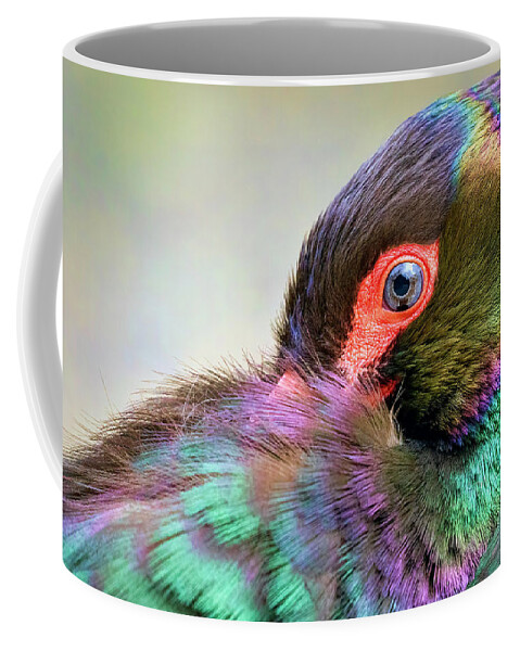 Eye Coffee Mug featuring the photograph Black Stork by Nadia Sanowar
